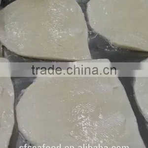 All Type of Seafood Squid Fillets thumbnail-1