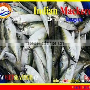 FROZEN INDIAN MACKEREL thumbnail-6