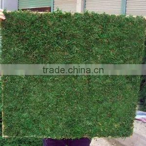 Decorative Green Moss Mat thumbnail-1