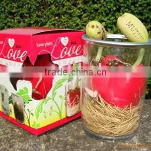 Heart Shaped Magic Bean or Magic Message Plant in a Can thumbnail-1