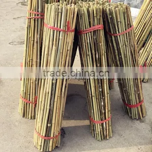 Excellent Quality Factory Price Garden Bamboo Canes for Sale thumbnail-1