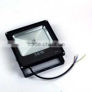 Top Quality IP66 30w Led Light Outdoor Graden Project Lamp thumbnail-1