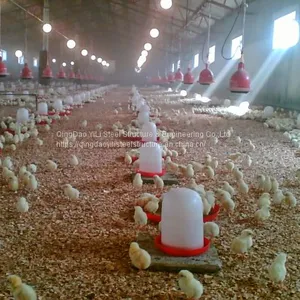 Steel Structure Design Poultry Farm Shed / Poultry Farm Structures thumbnail-5