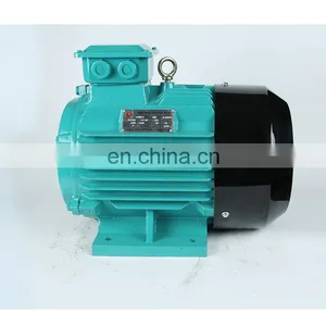 0.75-315kw 80M1-355L2 YE2 6 Poles 950rpm 3 Phase Asynchronous AC Induction Motor for Crusher thumbnail-6