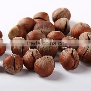Wholesale Hazelnut thumbnail-1