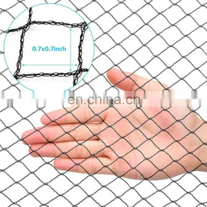 Wholesale Black Original HDPE Agricultural Anti-bird Net for Orchard Garden Bird Netting Agricultural thumbnail-3
