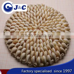 Customize Sea Shell Cushion,factory Manufacture Mat, Shell Pad thumbnail-1