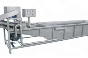 Factory Price Vegetable Cleaning Equipment Vegetable Washing Machine Fruit Washer for Promotion thumbnail-2