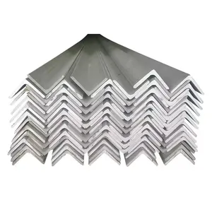 Food Processing 316L Stainless Steel Equal Angle 2x2x3/16