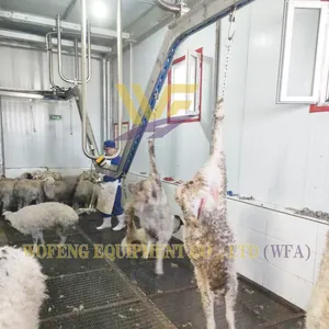 HACCP Whole Sheep Slaughterhouse Machine Goat Abattoir Equipment Lamb Butcher Machine Mutton Processing Line Factory thumbnail-1