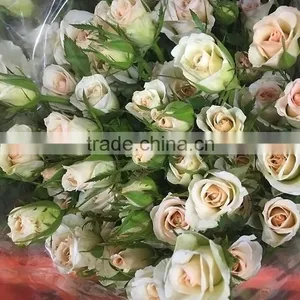 New OEM Fresh Rose Flower thumbnail-4