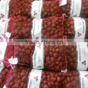 Fresh Chestnut thumbnail-3