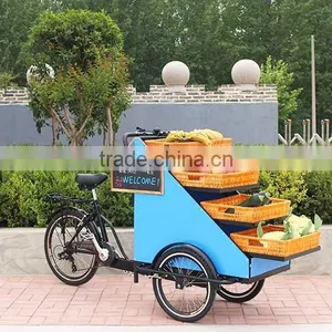 Fruit Vegetable Eco-friendly Street Vending Bike thumbnail-1