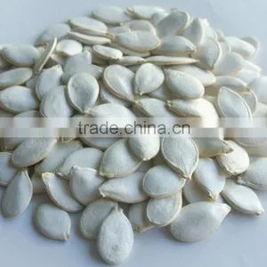 China,InnerMogolia,2015,high Quality,Green Snow White Pumpkin Seeds for Human Consumption thumbnail-2