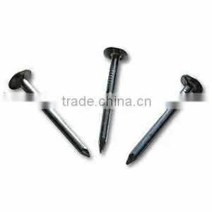 Nail Screws thumbnail-1