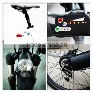 Seagull E-bike Li-ion Battery Case thumbnail-5