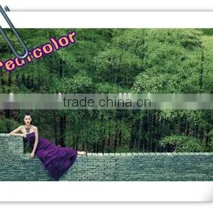 Papier Photo Satine RC Satin Photo Paper 260gsm A4 Premium Satin Photo Paper Carta Fotografica Papel Fotogr (Chinese Manufactry) thumbnail-1