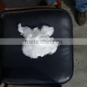 HM High Tenacity 4.5 Cn/dtex Geotextile pp Staple Fiber thumbnail-1