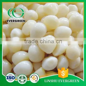 (Various Size) Reliable Quality Pickled Garlic In Brine For Sale thumbnail-2
