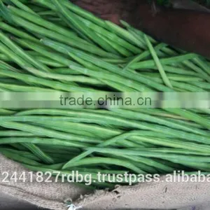 Fresh Indian Vegetables Exporter thumbnail-4