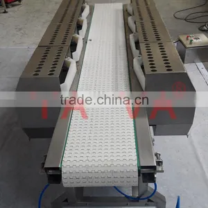 PP Belt Conveyor With Food Grade thumbnail-2