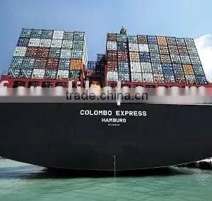 Freight Forwarder to USA From Shenzhen Shanghai Ningbo Guangzhou Xiamen Qingdao thumbnail-5