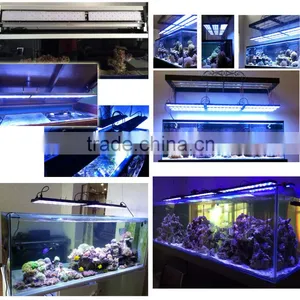 Sunrise and Sunset Dimmable Wifi Control Led Coral Reef 60W Smart LED Aquarium Light Accept Renitency thumbnail-6
