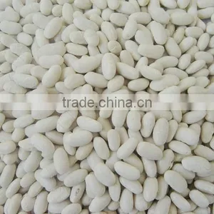 2015 New Crop Price of Baishake White Kidney Beans From China thumbnail-6