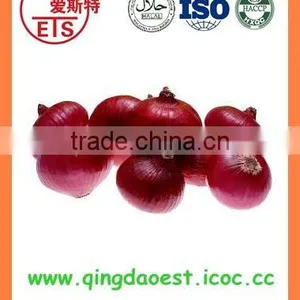 Export Chinese New Crop Fresh Red Onion thumbnail-2