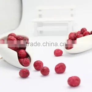 Freeze Dried Crunchy Cranberry Whole thumbnail-3