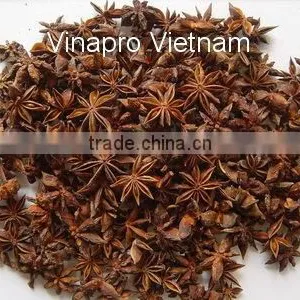 SPRING STAR ANISEED thumbnail-2