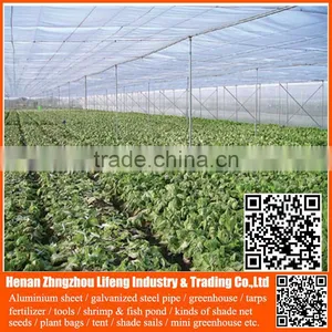 Top Product pe Greenhouse Anti Insect Proof Net , Plastic Vegetable Anti Insect Net , Nylon Agricultural Anti Insect Net thumbnail-3
