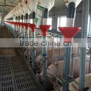 ^*Metering Boars Pig Feeder Feeding System Can Control Feed thumbnail-1