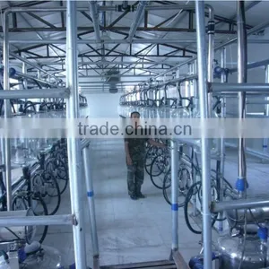 Herringbone Milking Parlor 2x10 With Milk Flow Meter Cow Milking Parlor thumbnail-5