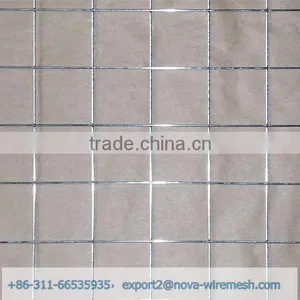 China Supplier, Animal Wire Mesh/chicken Netting/chicken Cage thumbnail-3