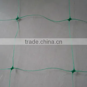 Plant Support Netting for Climbing Varieties thumbnail-4