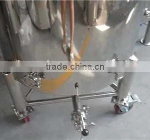 Stainless Steel Movable Jacket Fermenter thumbnail-2