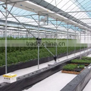 Korean Greenhouse thumbnail-4