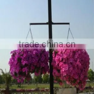 SOL 2015 Environment-friendly Hydroponics Plastic Flower Basket Hanging Flower Pots thumbnail-4