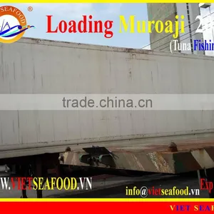 LOADING MUROAJI FOR TUNA BAIT thumbnail-1