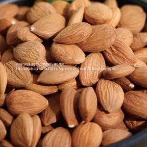 Apricot Kernel thumbnail-1