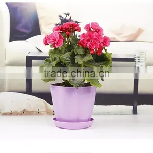 Creative Plastic Flower Pot Wholesale thumbnail-3