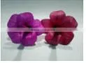 JAVA Sola Handmade Flowers thumbnail-1