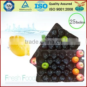 China Supply Factory Price PP ProtectiveTray for Apple Packing thumbnail-3