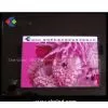 Indoor Led Display thumbnail-1