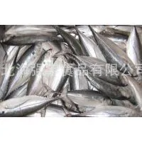 Frozen Jack Mackerel Whole Round thumbnail-1