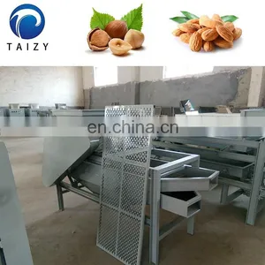 Automatic Apricot Kernel Cracker Machine Almond Cracking Hazelnut Shelling Machine thumbnail-4