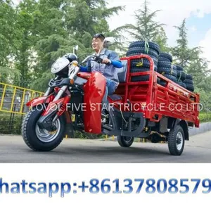 Gasoline Tricycle Cargo Loader Lovol Three Wheeler Mali Ethiopia Ghana Bukina Faso Tanzania Kenya Senegal Togo Benin Nigeira Mauritania Angola Burundi Chad Cameroon C ô te D'Ivoire Gabon Guinea Mozambique Rwanda Congo Uganda Zimbabwe thumbnail-1