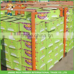 Wholesale Fresh Garlic (5.5CM Up 10Kg Carton Packing) thumbnail-1