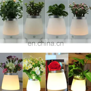 Creative Table Lamp LED Energy-saving Touch Switch Flower Pot Lamp thumbnail-6